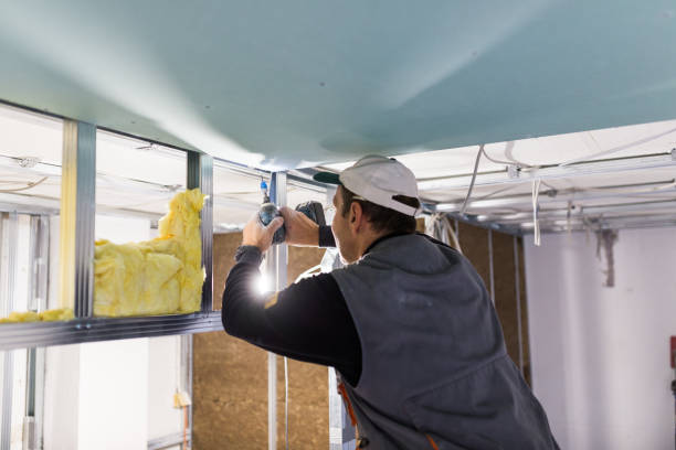 Best Insulation Contractor Near Me  in Kiawah Island, SC