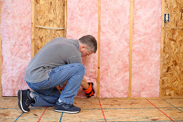 Best Fiberglass Insulation  in Kiawah Island, SC