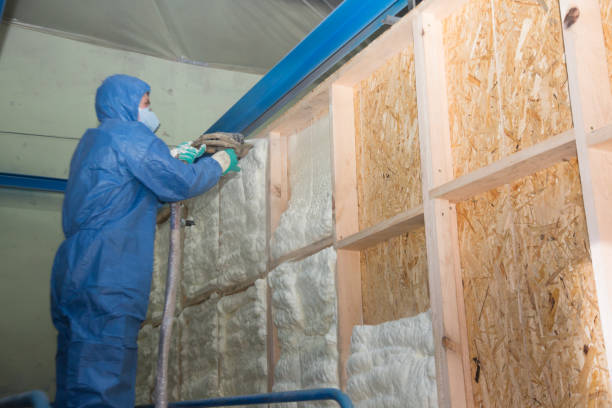 Best Local Insulation Services  in Kiawah Island, SC